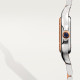 Panthere de Cartier W3PN0006