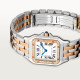 Panthere de Cartier W3PN0007