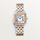 Panthere de Cartier W3PN0007
