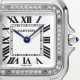 Panthere de Cartier W4PN0008