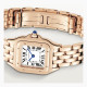 Panthere de Cartier WGPN0040