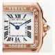 Panthere de Cartier WJPN0051