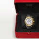 Pasha De Cartier WGPA0017