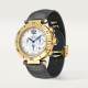 Pasha De Cartier WGPA0017