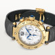 Pasha De Cartier WGPA0017