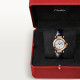 Pasha De Cartier WGPA0018