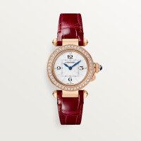 Pasha De Cartier WJPA0017