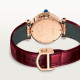 Pasha De Cartier WJPA0017