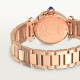Pasha De Cartier WJPA0018