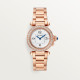 Pasha De Cartier WJPA0018