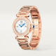 Pasha De Cartier WJPA0018
