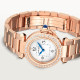 Pasha De Cartier WJPA0018