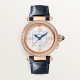 Pasha De Cartier WJPA0027