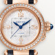Pasha De Cartier WJPA0027
