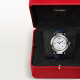 Pasha De Cartier WSPA0010