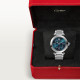 Pasha De Cartier WSPA0038