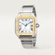 Santos De Cartier W2SA0009