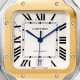 Santos De Cartier W2SA0009