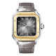  Santos De Cartier W2SA0030