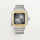  Santos De Cartier W2SA0030