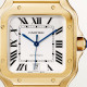 Santos De Cartier WGSA0029