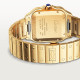 Santos De Cartier WGSA0029