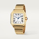 Santos De Cartier WGSA0029