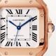 Santos De Cartier WGSA0031