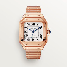 Santos De Cartier WGSA0031