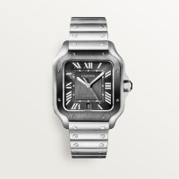 Santos De Cartier WSSA0037