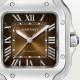 Santos De Cartier WSSA0065