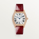 Tortue de Cartier WJTO0009