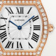 Tortue de Cartier WJTO0009