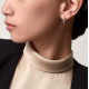 Серьги Cartier Juste un Clou hoop earrings N8515241