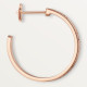 Серьги Cartier LOVE hoop earrings, medium model, paved N8515192
