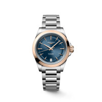 LONGINES CONQUEST L3.430.5.92.6