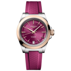 Longines  Conquest  L3.430.5.98.9
