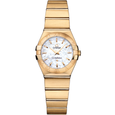 Omega 123.50.24.60.05.002 Constellation