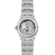 Omega 131.15.29.20.99.001 Constellation