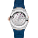 Omega 131.23.41.21.03.001 Constellation