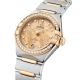 Omega 131.25.29.20.99.002 Constellation
