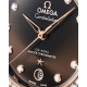 Omega 131.28.36.20.63.001 Constellation