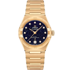 Omega 131.50.29.20.53.002 Constellation