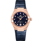 Omega 131.53.29.20.53.003 Constellation
