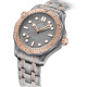 Omega 210.60.42.20.99.001 Seamaster Diver 300M