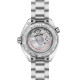 Omega 215.30.40.20.03.001 Seamaster PLANET OCEAN 600M