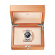 Omega 215.30.44.22.01.001 Seamaster PLANET OCEAN 600M