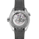 Omega 215.32.44.21.01.002 Seamaster Planet Ocean 600M