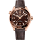 Omega 215.63.40.20.13.001 Seamaster Planet Ocean 600M