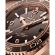 Omega 215.63.40.20.13.001 Seamaster Planet Ocean 600M